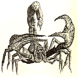 250x252 Plains Scorpion Deltora Quest Wiki Fandom Powered