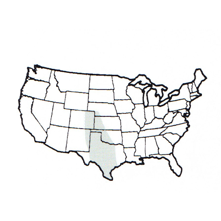 452x452 Southern Plains Native Grass Mix Mountain Meadows