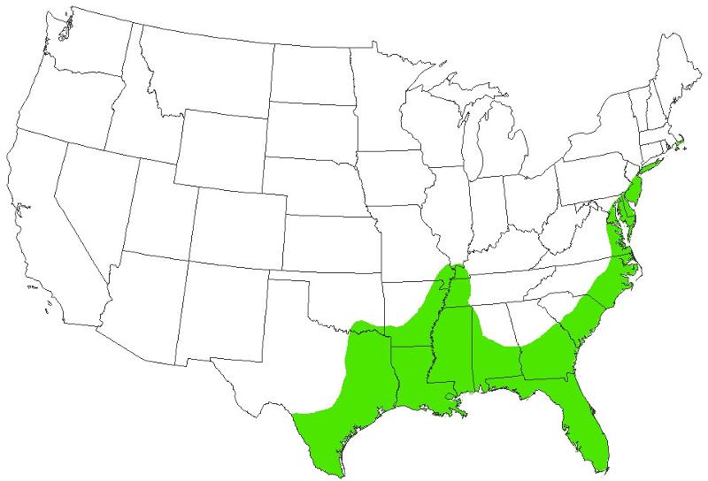 800x544 Coastal Plain