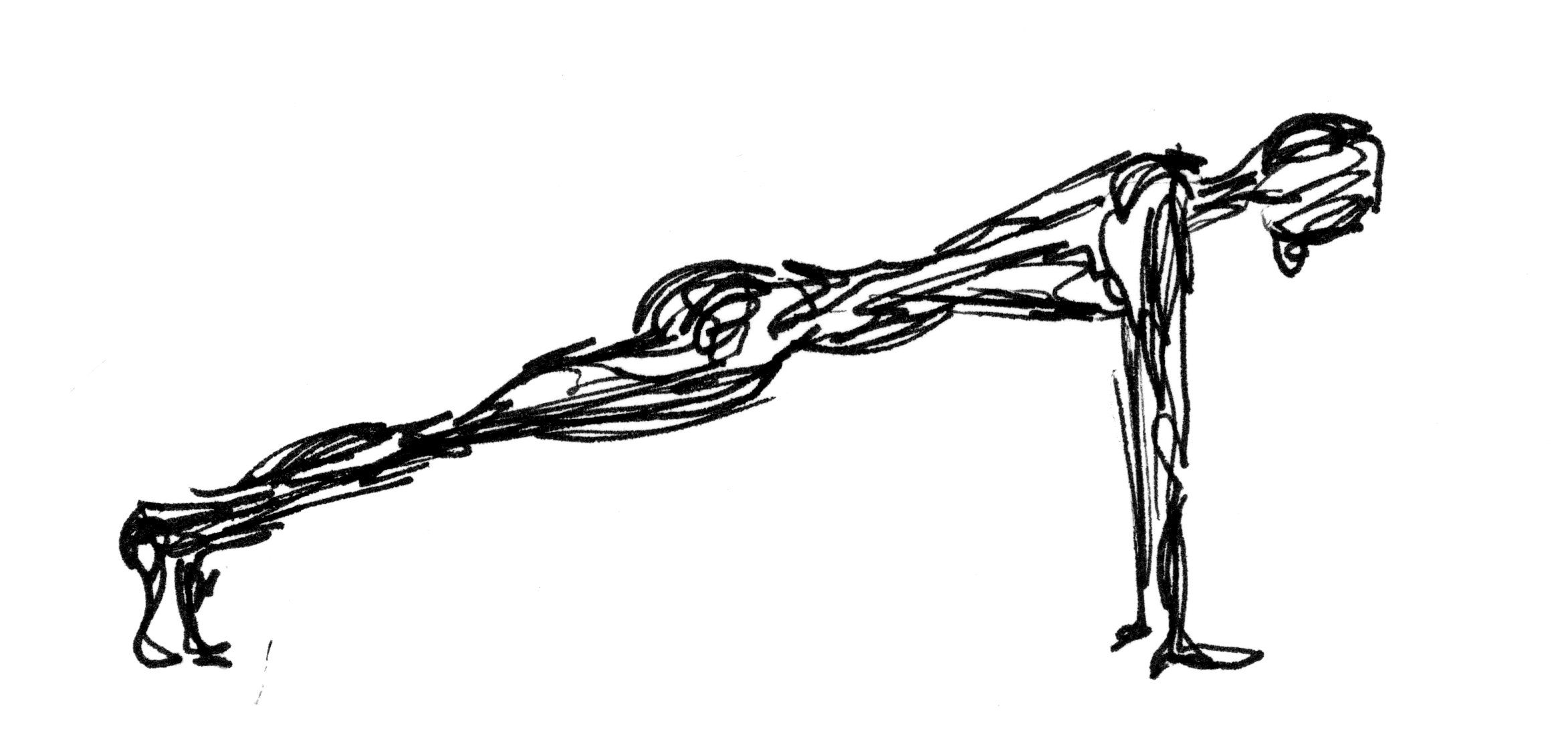 2345x1109 plank it small sketch kathy donovan creations sketches