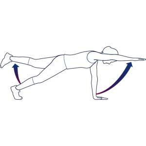 300x300 two limb plank