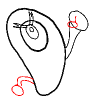 188x208 Step How To Draw Plankton From Spongebob Squarepants Step