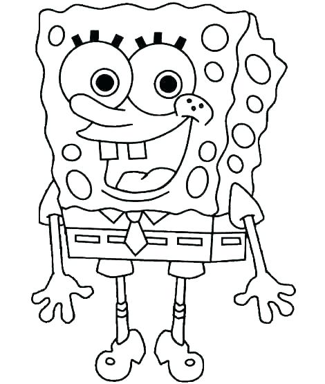 470x555 phytoplankton coloring pages