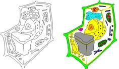 236x138 Animal System On Hippo My Illustration Illustration, Drawings