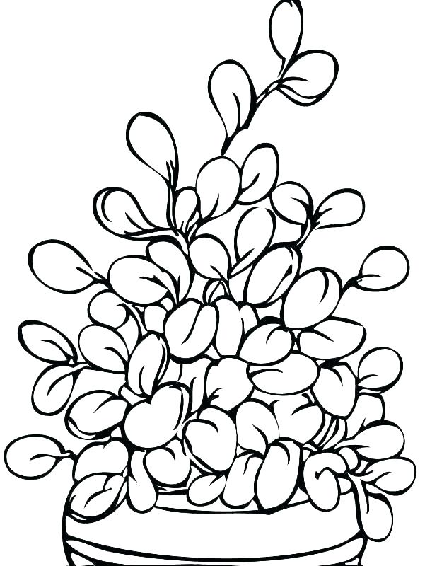 618x800 Cell Coloring