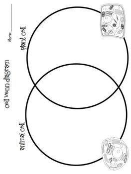 263x350 Cells Microscope Activity Unit Life Science Plant Cell