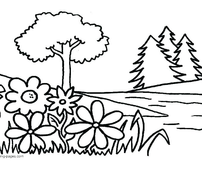 678x598 Coloring Pages Plant Coloring Sheet Parts