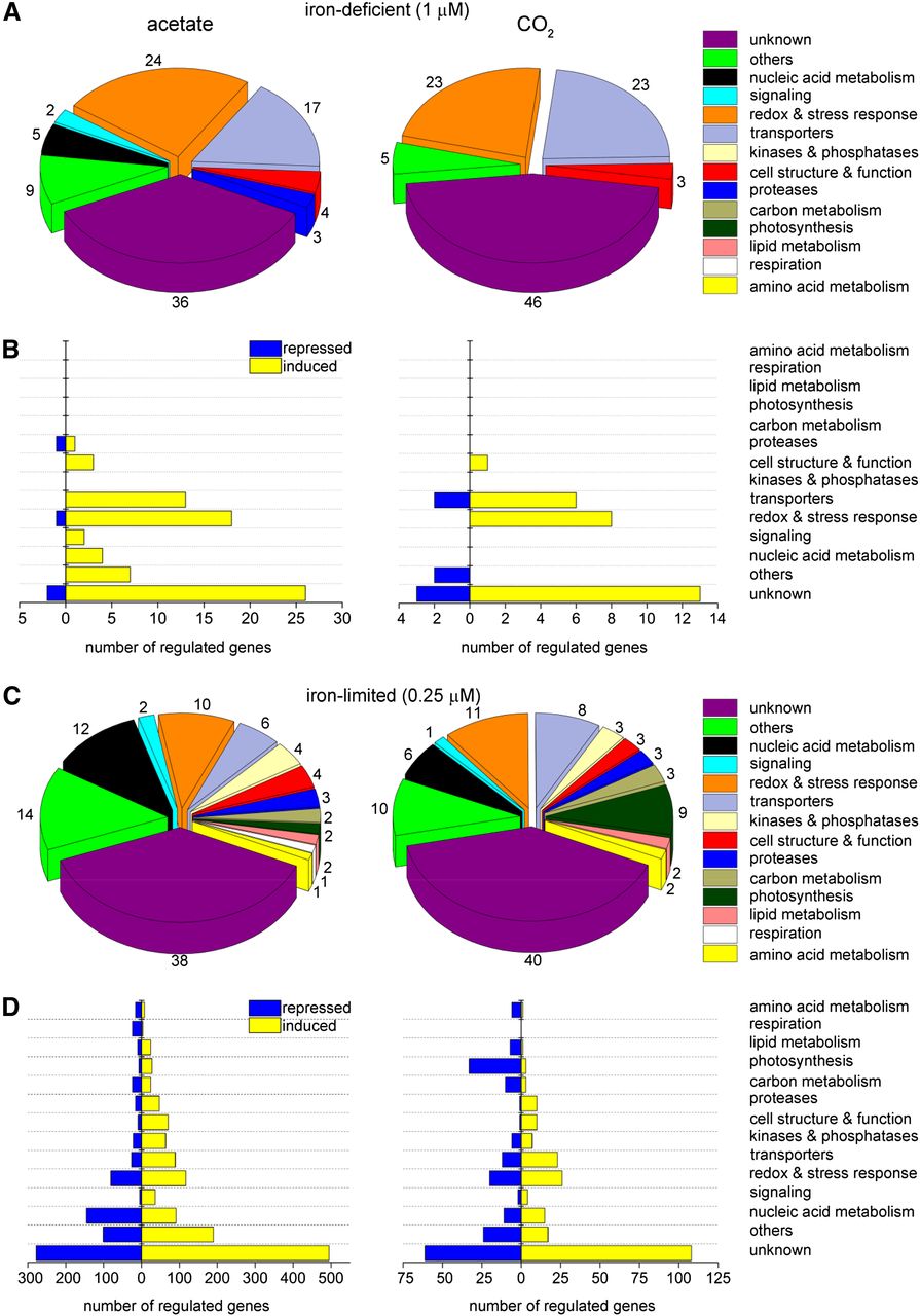 895x1280 Systems And Trans System Level Analysis Identifies Conserved Iron