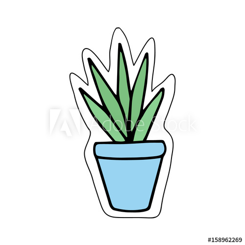 500x500 Cute Little Cacti In Blue Plant Pot Vector Illustration Doodle