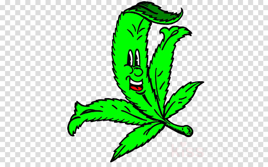 900x560 Drawing, Cartoon, Plant, Transparent Png Image Clipart Free Download