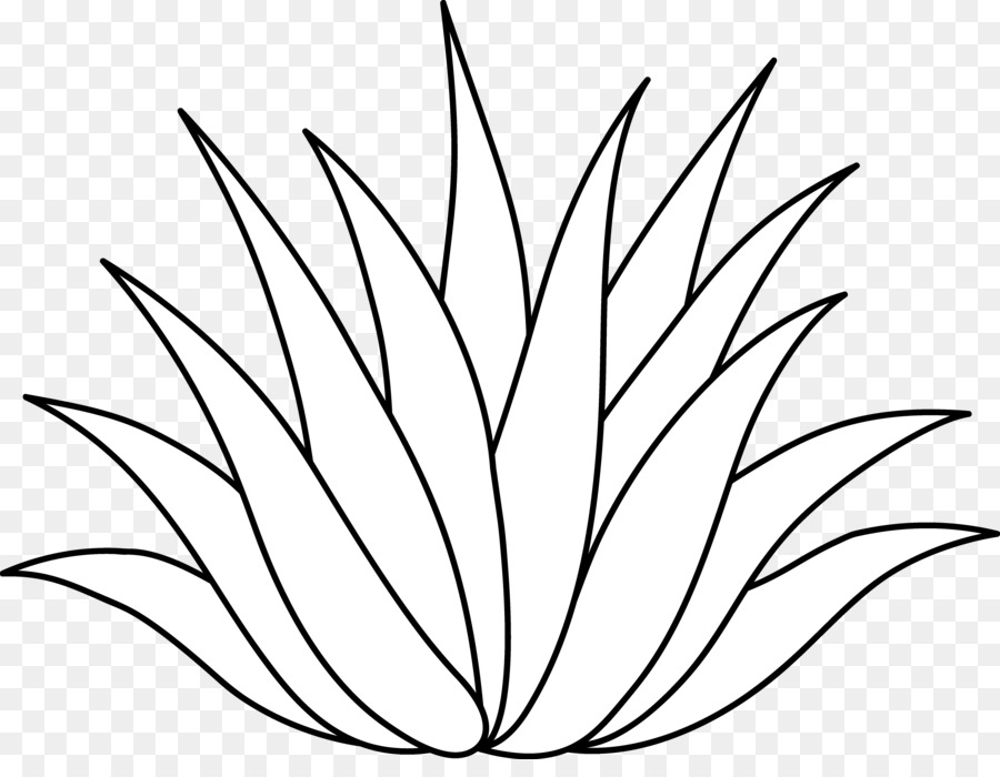 900x700 Drawing, Graphics, White, Transparent Png Image Clipart Free