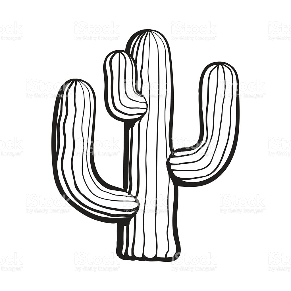 1024x1024 Cactus Drawing Black And White For Free Download