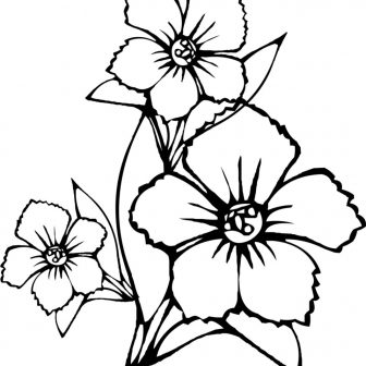 336x336 Beautiful Flower Designs To Draw Easy And Drawings Most Pics