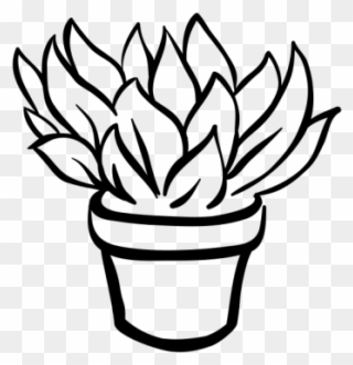 320x331 Drawn Pot Plant Artsy