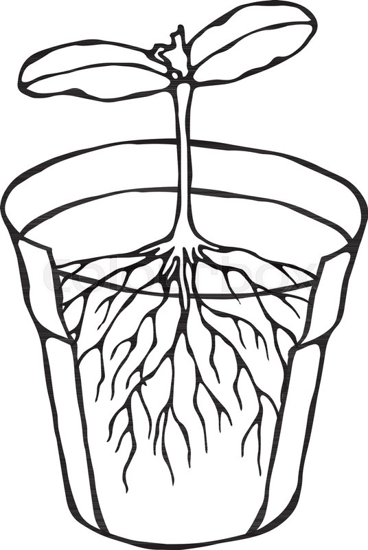 536x800 Flower Pot With Soil Seed, Sprout Stock Vector Colourbox