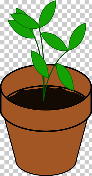 310x594 Graphics Flowerpot Drawing, Plants Png Clipart Free Cliparts