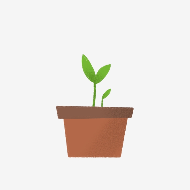 640x640 Hand Drawn Cute Pot Of Plant Sprouting, Sprounting, Drawing, Leaf