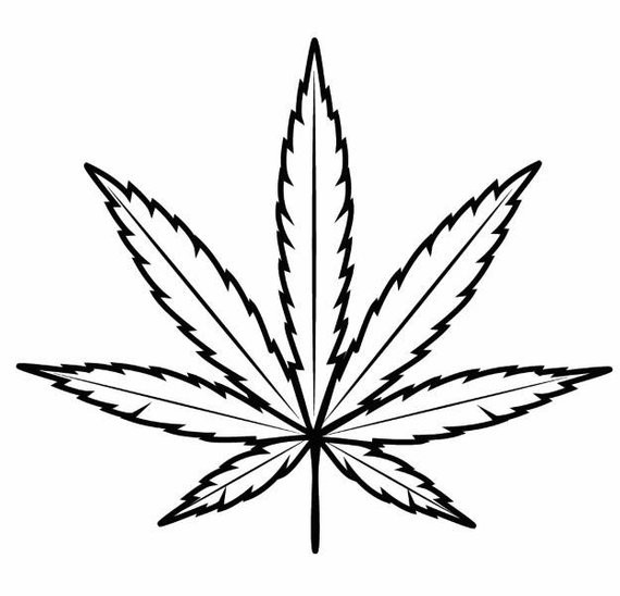 570x548 Il With Pot Leaf Drawing