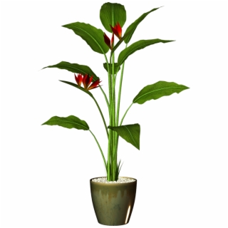 320x320 Pot Plant Clipart Drawn