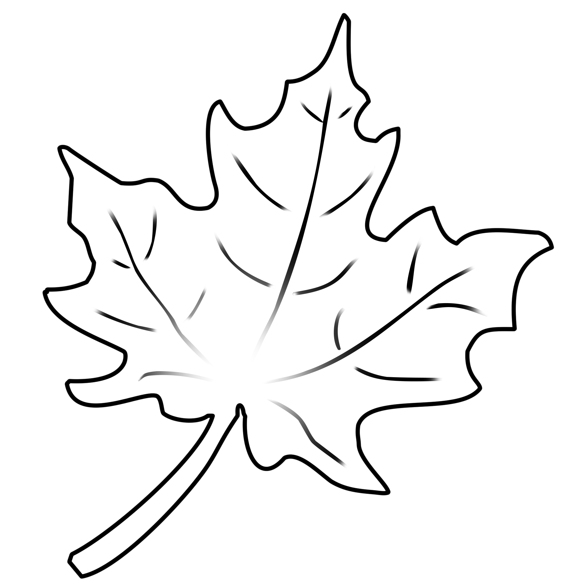 1940x1940 Huge Collection Of 'leaf Cartoon Drawing' Download More Than