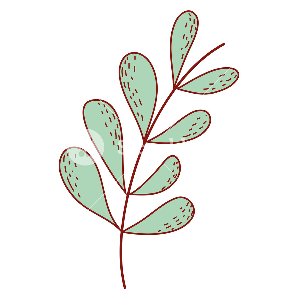 1000x1000 Leaves Drawing Isolated Vector Illustration Graphic Design Royalty