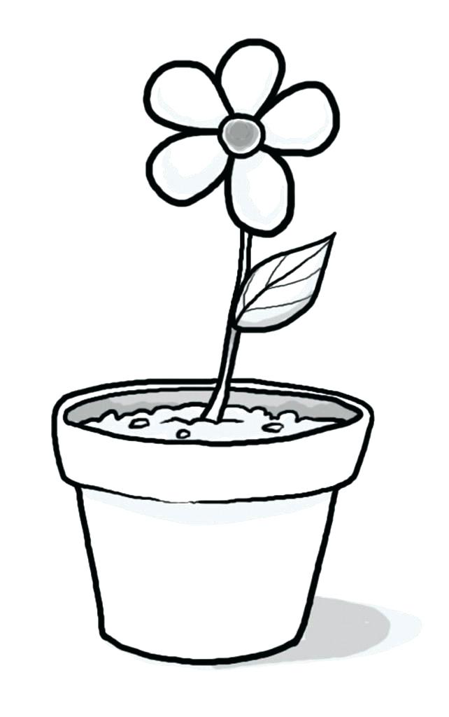 642x1024 Flower Pot Drawing Black And White