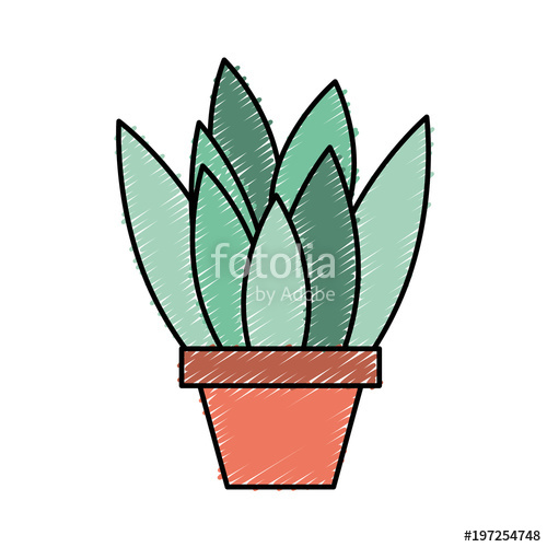 500x500 Potted Plant Leaves Interior Decoration Vector Illustration