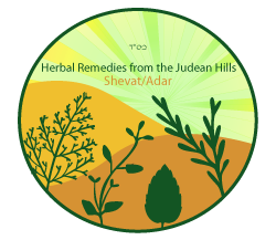 250x217 collection of free weed drawing plantain download on ui ex