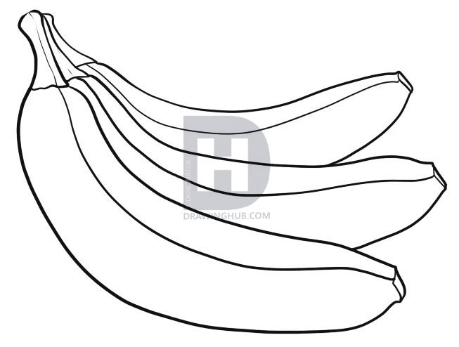 653x494 How To Draw Bananas, Step