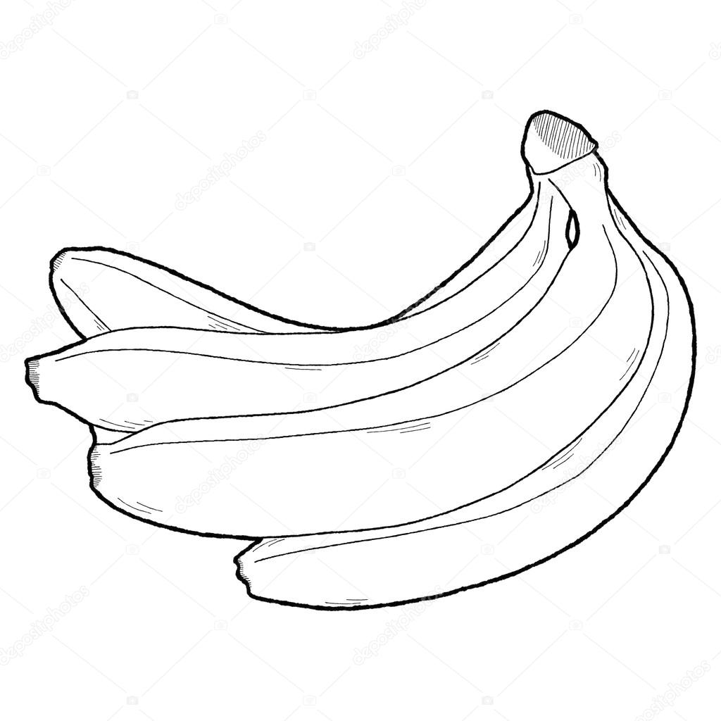 1024x1024 banana drawing plantain for free download
