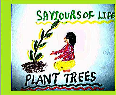 489x402 Jawahar Navodaya Vidyalaya Devrala Bhiwani Haryana Green School