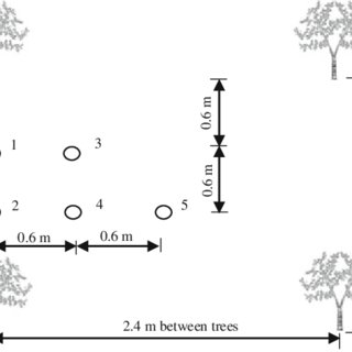 320x320 sampling positions in the densely planted jujube plantation area