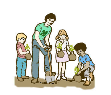 360x310 tree plantation services, tree plantation services