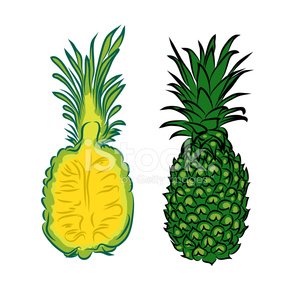 300x300 Vector Drawing Of The Pineapple Stock Vectors