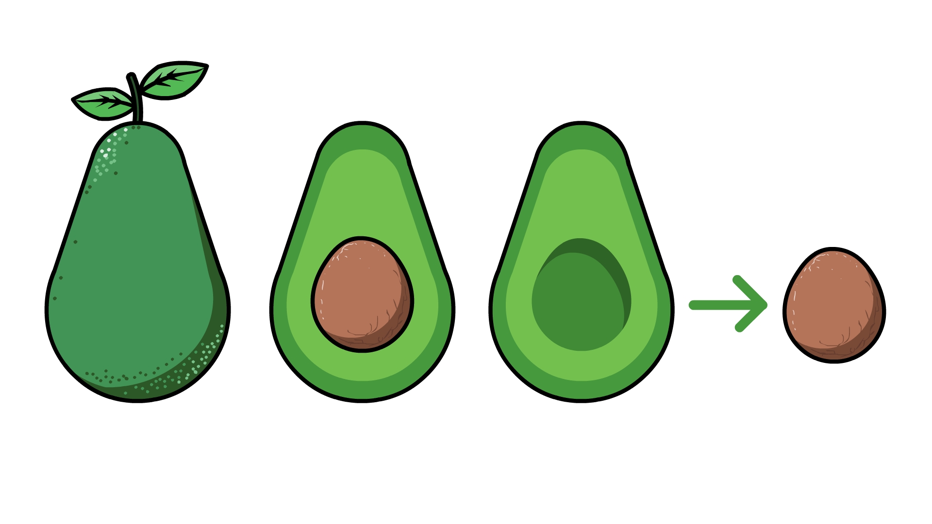 1920x1080 How To Plant An Avocado Tree