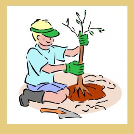 450x450 Students Plant Trees For Sustainability Effort