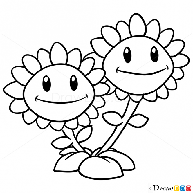 665x665 How To Draw Twin Sunflower, Plants Vs Zombies Kleur