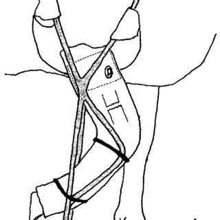320x320 diagram of a sheep with a plaster and an external splint