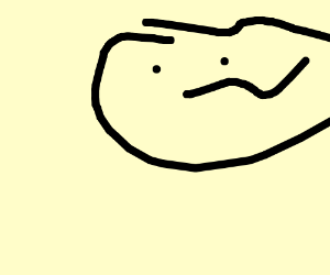 300x250 jotaro kujo and his stand star platinum