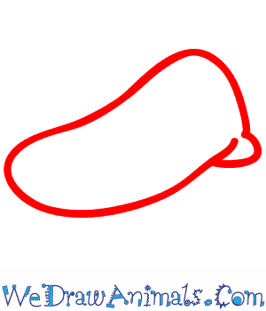 300x350 How To Draw A Platypus