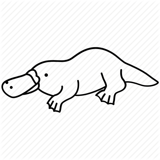 512x512 Collection Of Free Platypus Drawing Hunting Download On Ui Ex