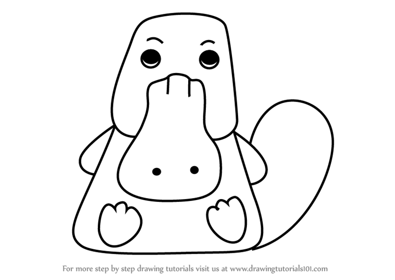 800x567 Learn How To Draw A Platypus For Kids