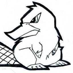 256x256 Platypus Parcel