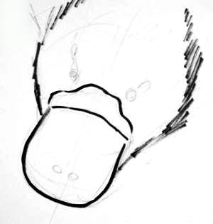 300x315 Platypus Face Drawing