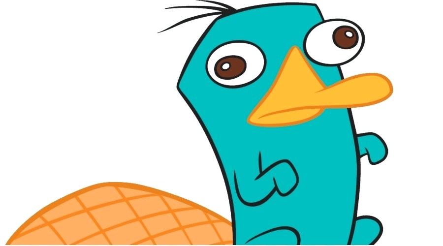 900x500 Perry The Platypus How To Draw Nip