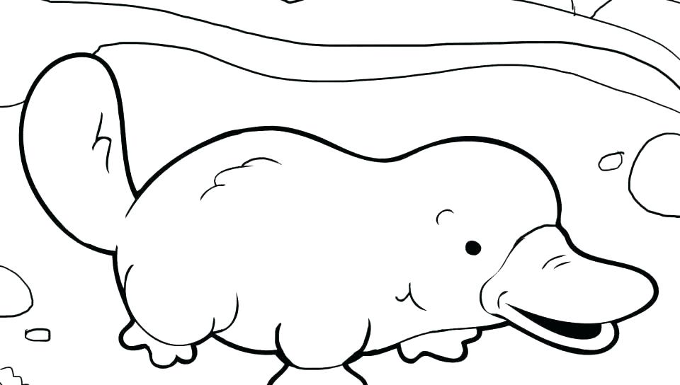 960x544 Free Printable Perry The Platypus Coloring Pages To Print