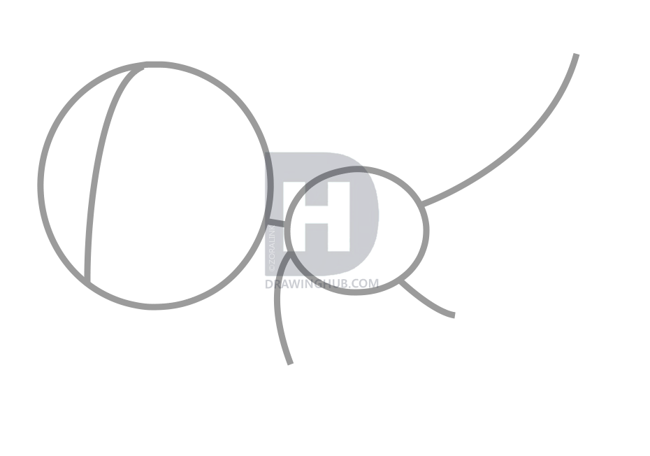 930x652 How To Draw A Platypus For Kids, Step