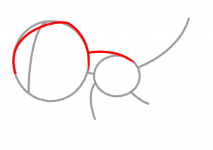 302x212 How To Draw How To Draw A Platypus For Kids