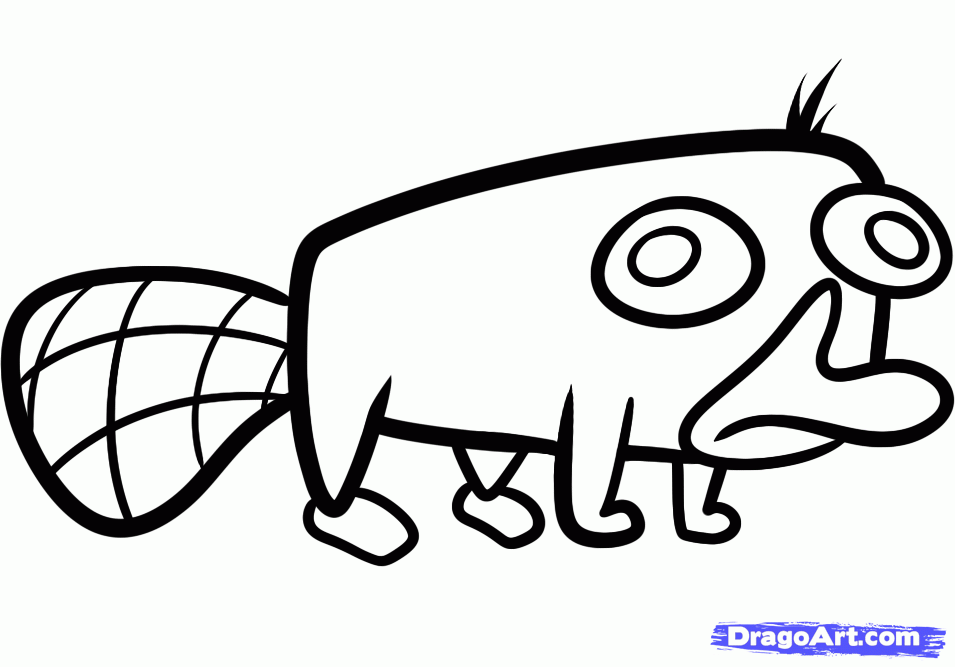 955x667 How To Draw Perry The Platypus Easy Step Crafting Drawings