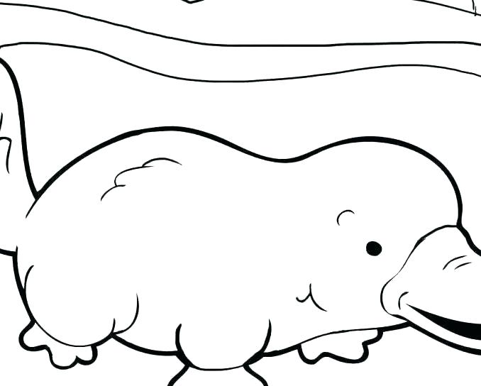 678x544 Perry The Platypus Coloring Pages